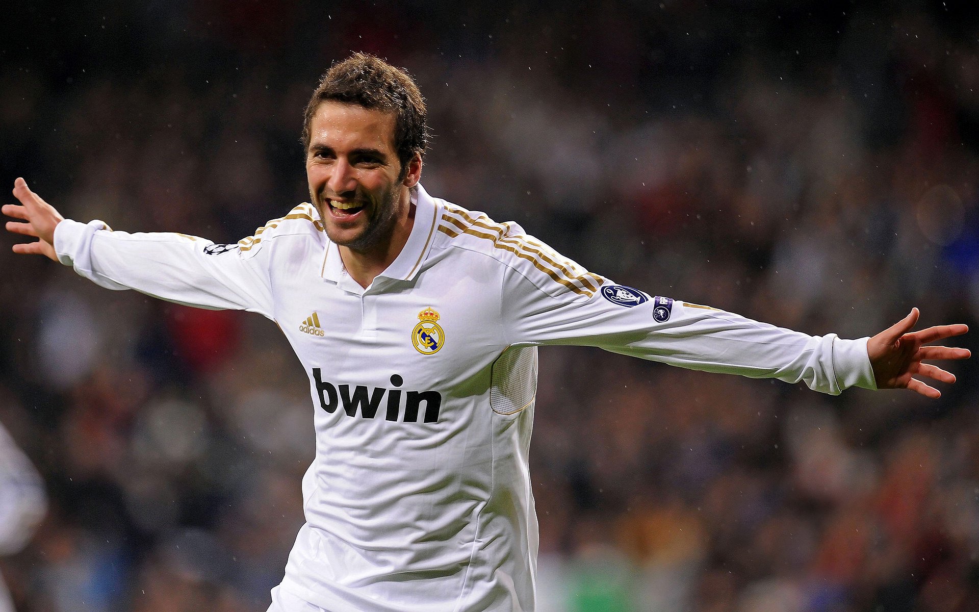 袋鼠队主力球员：唐纳德·高尔 (Donald Gaal)，ufc袋鼠